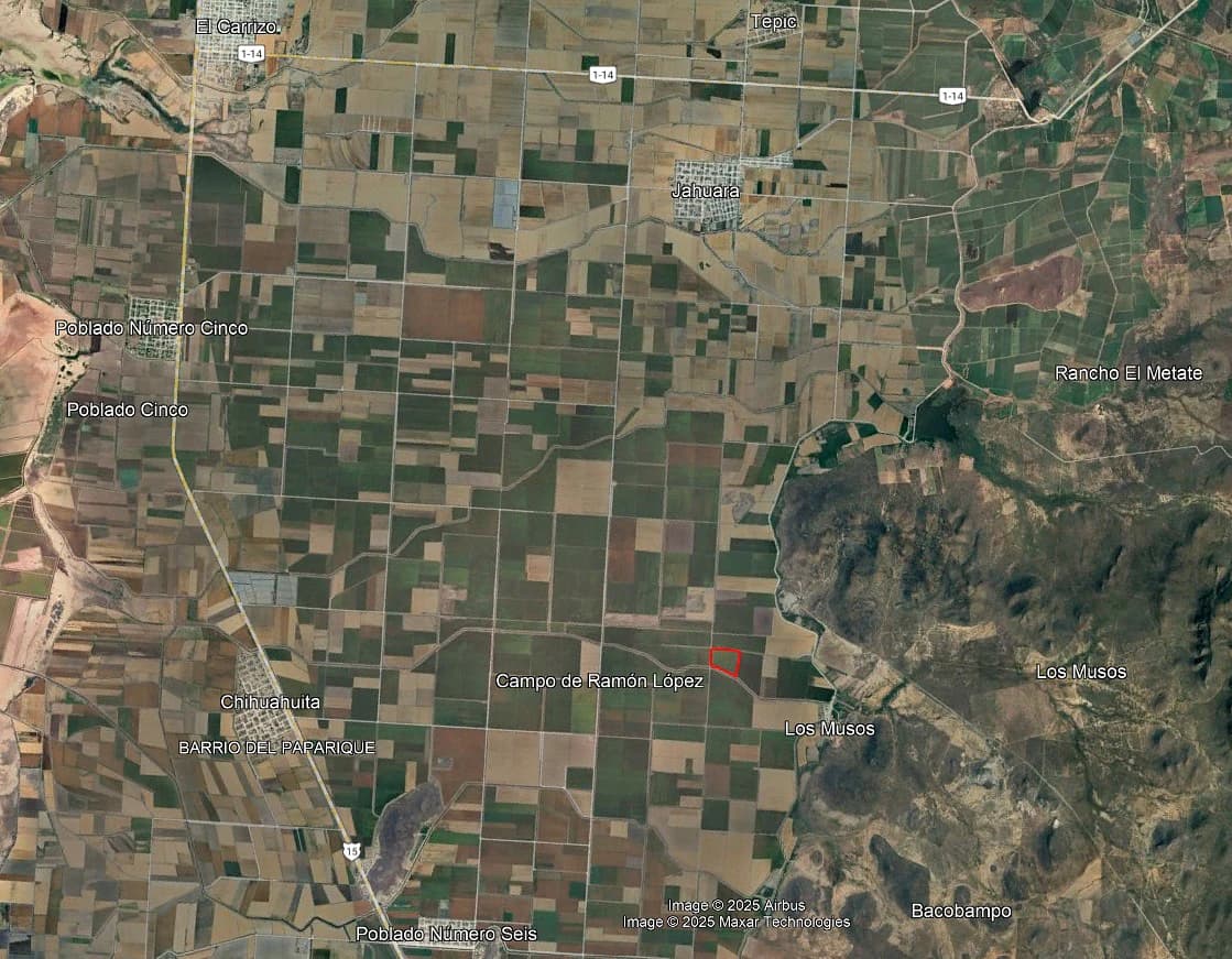 TERRENO AGRICOLA EN RENTA