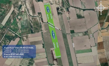 9_2931 | 24.40 HECTAREAS AGRÍCOLAS EN VENTA Ejido Suarez (Campo Gastélum o Cohuibampo), Ahome Sinaloa | GCI Bienes Raíces