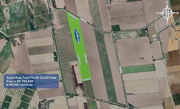 9_2933 | 14.40 HECTAREAS AGRÍCOLAS Ejido Suarez (Campo Gastelum y Cohuibampo), Ahome Sinaloa | GCI Bienes Raíces